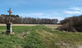Trail Walking Sainte-Maure-de-Touraine - Sainte-Maure-de-Touraine - Sepmes via PRs - 20.5km 240m 4h35 (50mn) - 2025 03 19 - Photo 4
