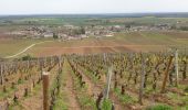 Randonnée Marche Vougeot - Clos Vougeot - Photo 4