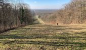 Tocht Stappen Compiègne - Les beaux monts - Photo 2