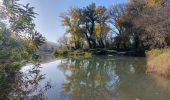 Randonnée Marche Châteauneuf-du-Rhône - Châteauneuf : Les Iles du Rhône 9km - Photo 1