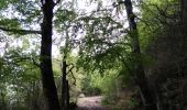 Tocht Stappen Pégairolles-de-l'Escalette - pegairolles Larzac  - Photo 8