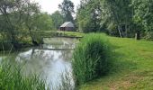 Trail Walking Villechauve - Villechauve 41310 - Photo 18
