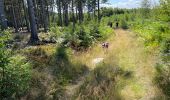 Trail Walking Vielsalm - Initiation bivouac j1 - Photo 12