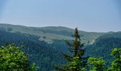 Tour Wandern Saint-Agnan-en-Vercors - Les Rancs de Charles - Vercors - La Coche - Photo 14