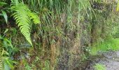 Randonnée Marche Baños de Agua Santa - Baños - Casa del Arbol - Photo 8