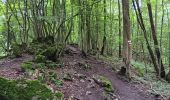 Tour Wandern Esneux - esneux . ham . roche aux faucons par les petits chemins  - Photo 17