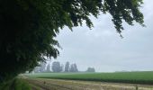 Excursión Senderismo Beauvechain - #240524b - Forêt de Meerdael, drève et étang de Warande - Photo 8