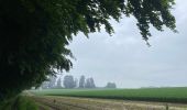 Randonnée Marche Beauvechain - #240524b - Forêt de Meerdael, drève et étang de Warande - Photo 8