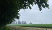 Tocht Stappen Bevekom - #240524b - Forêt de Meerdael, drève et étang de Warande - Photo 8
