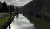 Trail Walking Houyet - Celles Walzin Furfooz Veves Celles - Photo 8