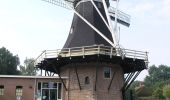 Randonnée A pied Hellendoorn - WNW Twente - Hellendoorn - blauwe route - Photo 1