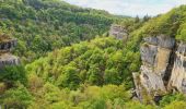 Tour Wandern Valserhône - Boucle  VALSERINE - Photo 2