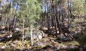 Trail Walking Fontainebleau - Fontainebleau - Photo 6