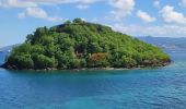 Tour Wandern Les Trois-Îlets - Boucle de Anse à l'âne et Galochat à Trois-Îlets. - Photo 7