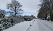 Tour Wandern Havelange - rando nettine 9/02/2021 - Photo 12