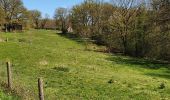 Tour Wandern Esneux - Les Boubous - Photo 18