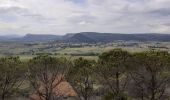 Tour Wandern Fabrezan - Frabezan La Pinada  - Photo 2