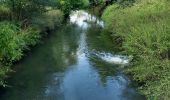 Tour Wandern Grez-Doiceau - boucle vallée de la Dyle Florival Gastuche  - Photo 1