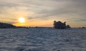 Randonnée Marche Spa - tour de la fagne de Malchamps dans la neige  - Photo 6