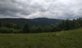 Tour Wandern Villers-le-Lac - Le Pisoux - Photo 6