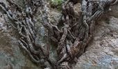 Trail Walking Cheval-Blanc - Gorges du Regalon version longue ( hautes pleines ) - Photo 9