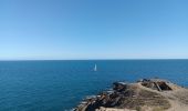 Excursión Senderismo Port-Vendres - paullile - Cap bear via la mer retour via les vignes  - Photo 10