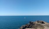 Trail Walking Port-Vendres - paullile - Cap bear via la mer retour via les vignes  - Photo 10
