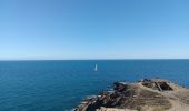 Tocht Stappen Port-Vendres - paullile - Cap bear via la mer retour via les vignes  - Photo 10