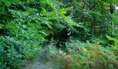 Randonnée Marche Pierrefonds - en forêt de Compiègne_30_la Tournante sous le Mont Saint-Mard - Photo 9