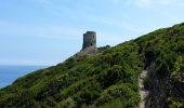 Randonnée Marche Ersa - Barcaggio - Sentier des Douaniers jusqu'à la Baie de Capandola - 7.7km 180m 2h10 - 2013 06 05 - Photo 3