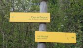 Tocht Stappen Saint-Alban-Leysse - St-Alban-2021-04-16 - Photo 2