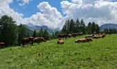 Tocht Stappen La Plagne-Tarentaise - La Plagne Village Aime Plagne Prajourdan Plagne Centre Plagne  - Photo 4