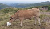 Randonnée Marche Albepierre-Bredons - Le Plomb du Cantal - Photo 5