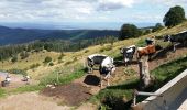 Tour Wandern Wasserburg - Au pied du Petit Ballon par le sentier Hertzog - Photo 1