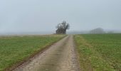 Tour Nordic Walking Zillig - Meix-le-Tige  -  Willancourt - Photo 9