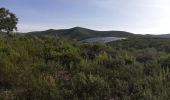 Excursión Senderismo Belgodère - les hauteurs de lozari (départ plage de Lozari) - Photo 3