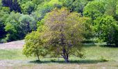 Tour Wandern Duingt - Boucle du Taillefer - Photo 9