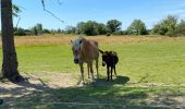 Tocht Stappen Rochefort - Jambline  - Photo 1