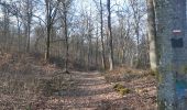 Excursión Senderismo Houffalize - ollomont . Le herou . les ondes . Le chesle . podri les ecwarais . ollomont  - Photo 17