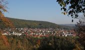 Tour Zu Fuß Klingenberg am Main - Rundwanderweg Klingenberg : Fuchs - Photo 1