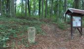 Randonnée A pied Wetterzeube - Rundweg Breitenbacher Forst - Photo 2