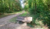 Trail Walking Rouffach - Herrlisheim près Colmar et son Fontainebleau  - Photo 3