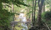 Trail Walking Aywaille - À la découverte de Harzé - Photo 11