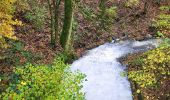 Trail Walking Florenville - Les Epioux 311023 - Photo 11