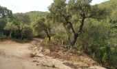 Excursión Senderismo Roquebrune-sur-Argens - Roquebrune sur Argens 