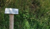 Trail Walking Ciney - Chevetogne 280622 - Photo 8
