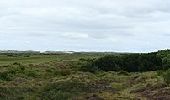 Trail On foot Terschelling - Doodemanskisten en Seinpaalduin - Photo 2