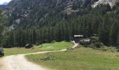 Trail Walking Cogne - Cogne Valnontey - Photo 12