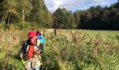 Trail Walking Marchin - Marchin - Bertranfontaine - Goesnes - Photo 5