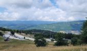 Trail Walking Lans-en-Vercors - mm - Photo 4